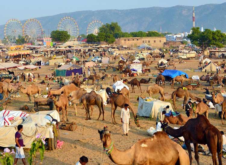 Pushkar Camel Fair 2017 A Cultural Extravaganza Blog